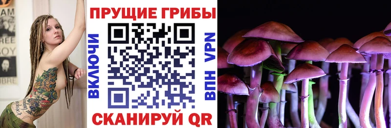 Псилоцибиновые грибы мухоморы  где купить наркотик  мега ссылка  Киреевск 