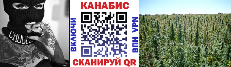магазин продажи   Киреевск  Каннабис семена 